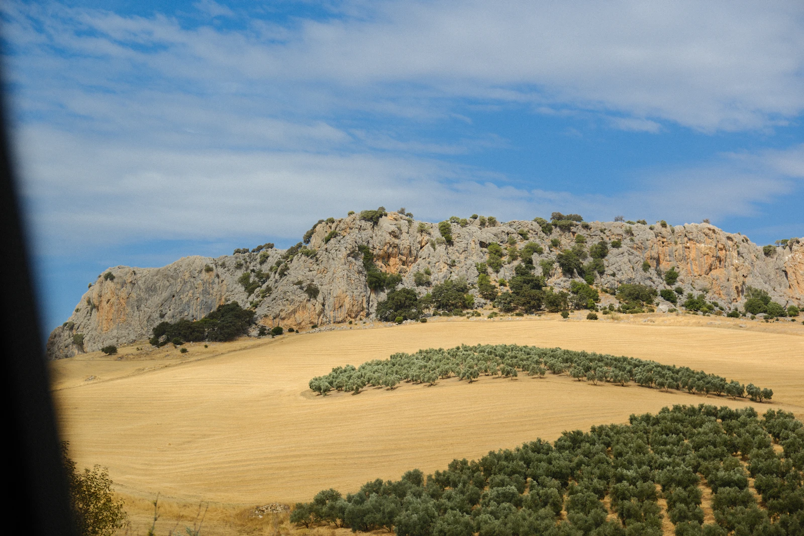 Campo de trigo en el interior de España